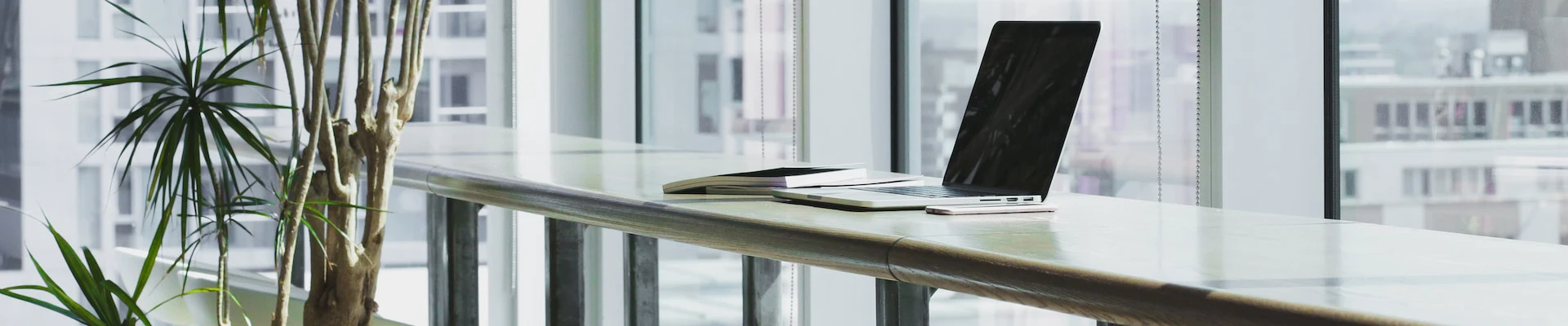 Imagem de escritório envidraçado com um portátil numa mesa branca e plantas verdes, como capa de website de Sofia Branding D'Emoções