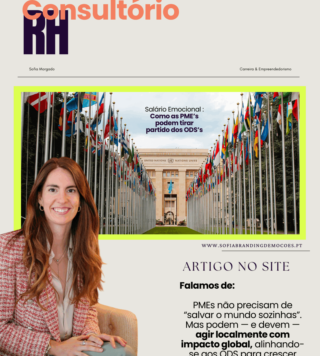 imagem com bandeiras da onu e artigo do site sobre salario emocional e ods em pequenas e médias empresas da Sofia Branding D' Emoções
