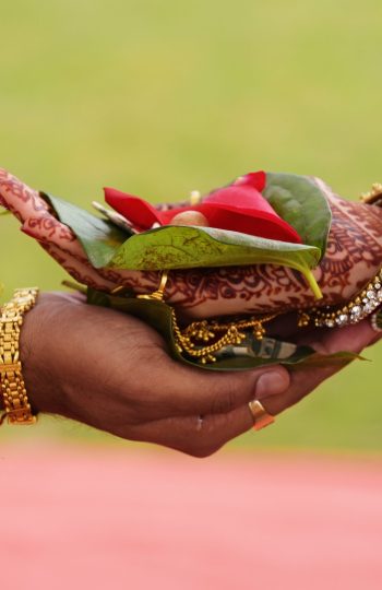 Eventos com harmonia, empatia, entrega, dar e receber, reciprocidade e cooperação.
